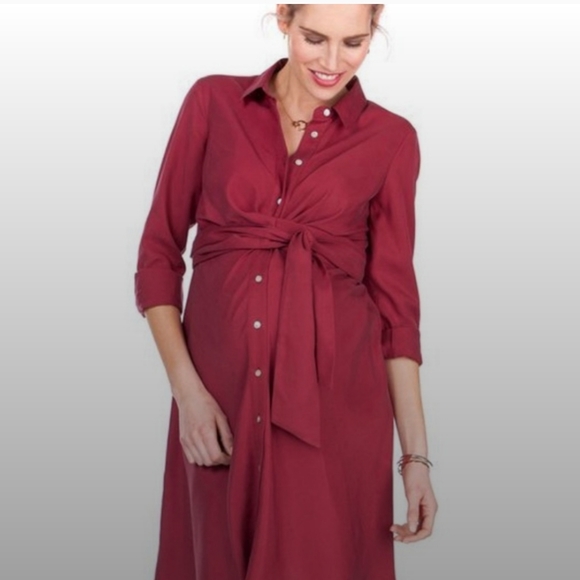 Seraphine Dresses & Skirts - Seraphine maternity nursing dress